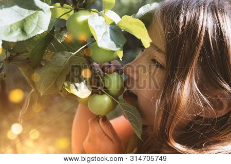 Girl Eating Apple. Child Face Closeup. Healthy, Organic Food. Fresh Ripe Fruit. Summertime, Spring S