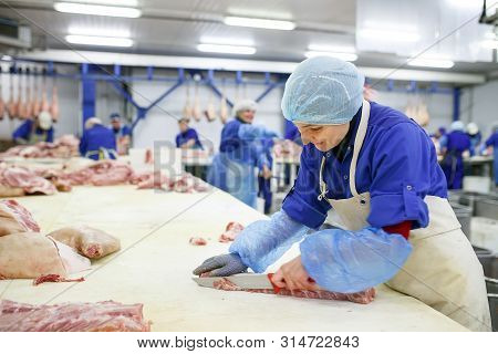 Cutting Meat In Slaughterhouse. Butcher Cutting Pork At The Meat Manufacturing.