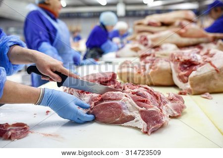 Cutting Meat In Slaughterhouse. Butcher Cutting Pork At The Meat Manufacturing.
