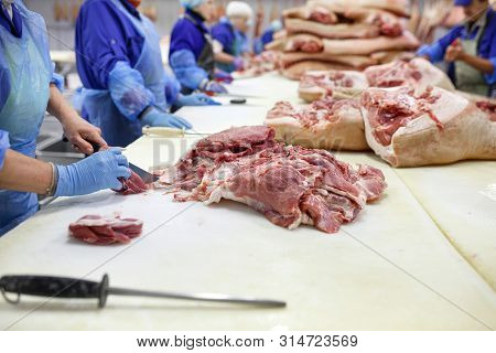 Cutting Meat In Slaughterhouse. Butcher Cutting Pork At The Meat Manufacturing.