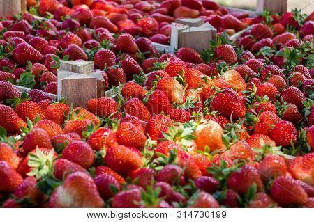 Closeup Of A Crate With Fresh Strawberries