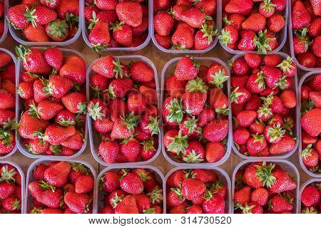 Fresh Strawberries In Plastic Boxes