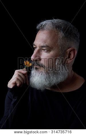 Portrait Of A Brutal Gray Haired Man With A Beard Sniffing Yellow Flowers On A Black Background, Sel