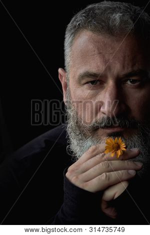 Close Up Portrait Of A Brutal Gray Haired Man With A Beard With A Yellow Flower In His Hands On A Bl