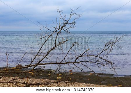 Beautiful Landscape Of The Baltic Sea Coast.