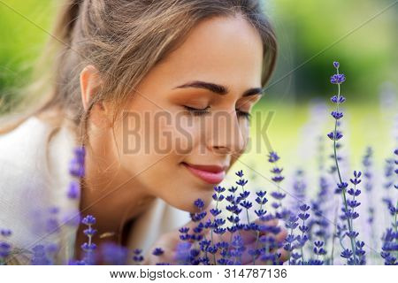 gardening and people concept - close up of happy young woman smelling lavender flowers at summer garden