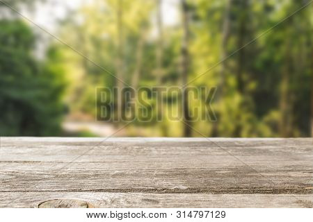Wooden Table With Blur Background. Table In Nature Forest. Background Wood Table.