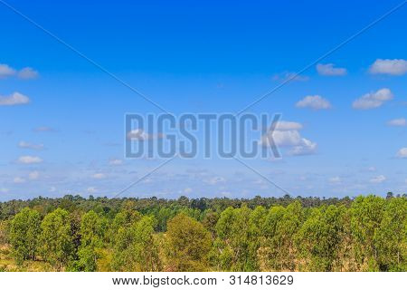 Blue Sky Background And White Clouds In Sunny Day Over The Green Forest