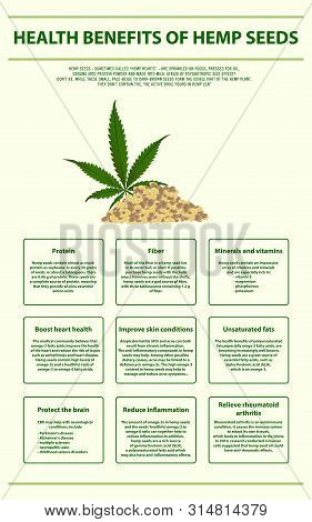 Health Benefits Of Hemp Seeds Vertical Infographic, Healthcare And Medical Illustration About Cannab