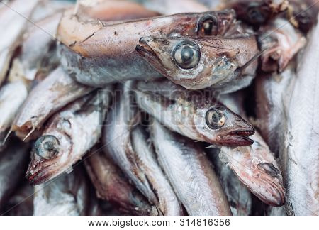 Fresh Fish In The Store On The Background.