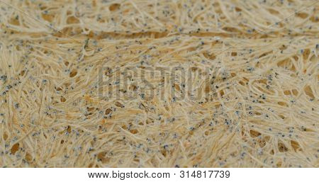 Japanese dry fish snack for beer, tatami iwashi