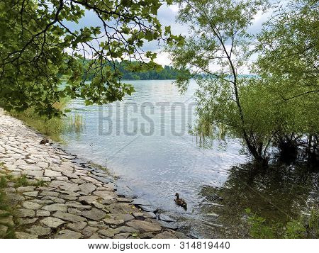 Landscape Of The Lake Constance By The Mainau Island (flower Island Mainau On The Lake Constance) - 