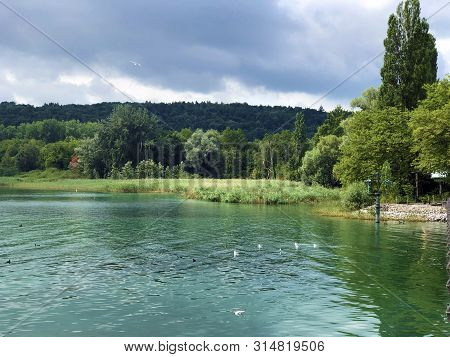 Landscape Of The Lake Constance By The Mainau Island (flower Island Mainau On The Lake Constance) - 