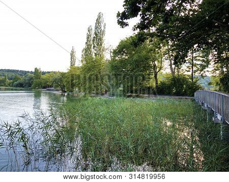 Landscape Of The Lake Constance By The Mainau Island (flower Island Mainau On The Lake Constance) - 