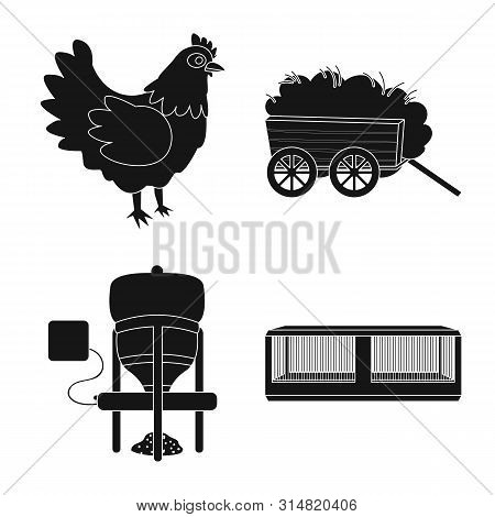 Isolated Object Of Harvest And Farming Icon. Set Of Harvest And Poultry Stock Vector Illustration.