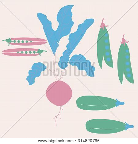 Pink, Blue And Green Vegetables. Vector Elements
