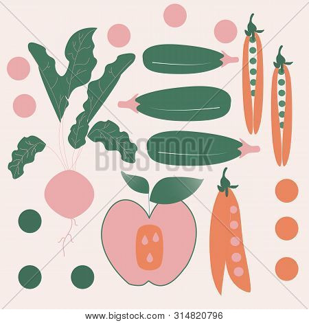 Pink, Green And Orange Vegetables. Vector Elements