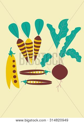 Yellow And Brown Vegetable Illustration. Vector Elements