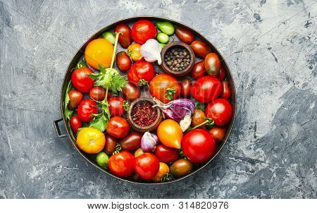 Autumn Canning Tomatoes