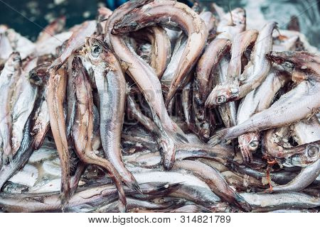 Fish Sprats At The Fish Market. Fresh Organic Fish