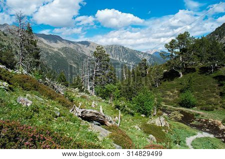 Beautiful Landscape Mountains In Summer At Parc Natural Del Comapedrosa, Andorra