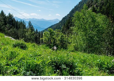 Beautiful Landscape Mountains In Summer At Parc Natural Del Comapedrosa, Andorra