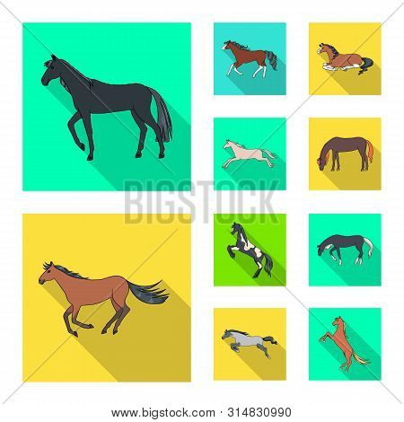 Vector Illustration Of Breed And Equestrian Symbol. Collection Of Breed And Mare Stock Symbol For We