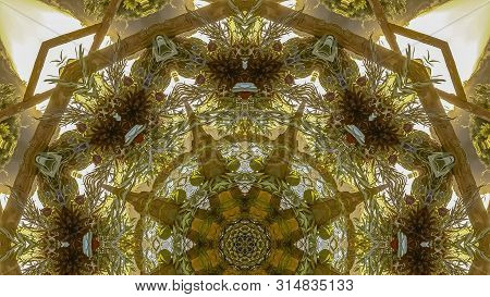 Panorama Frame Angular View Of Leaves Of A Flower Arrangemnet No Petals