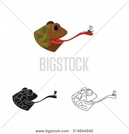 Vector Illustration Of Toad And Head Symbol. Collection Of Toad And Stickyl Stock Symbol For Web.