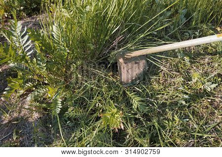 Trimmer Mows Grass And Weeds Summer In The Garden, Close-up.