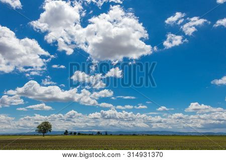 Agricultural Field And The Mountain Fruška Gora In Vojvodina In May, Serbia