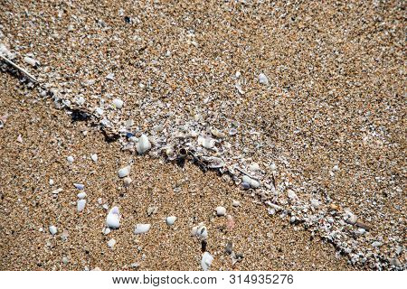 Close Up View Of Shells In The Sand