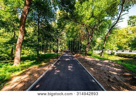 Asphalt Walking Path Through The City Park.