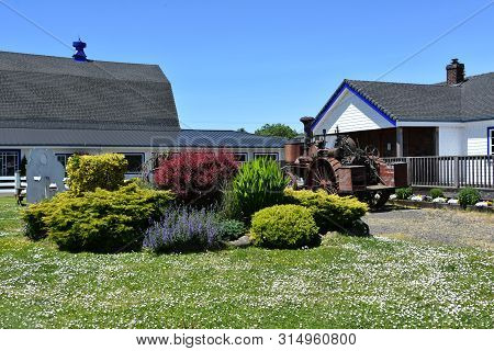 Tillamook, Or - Jun 9: Blue Heron French Cheese Company In Tillamook, Oregon, As Seen On Jun 9, 2019