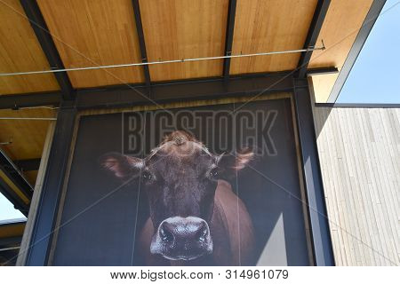 Tillamook, Or - Jun 9: Tillamook Creamery In Tillamook, Oregon, As Seen On Jun 9, 2019. It Offers Se