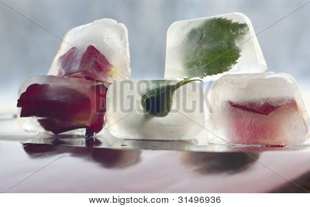 Winter flowers