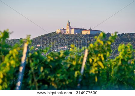 Pannonhalma Archabbey With Vine Grapes In The Vineyard, Hungary. Beautiful Vineyard Landscape With B