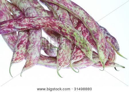 ถั่ว Borlotti