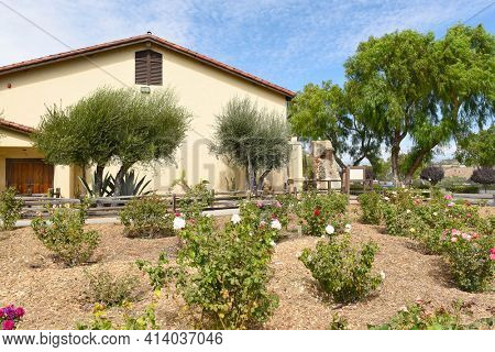 SOLVANG, CALIFORNIA - SEPTEMBER 21, 2016: Mission Santa Ines Rose Garden. Nnamed after St. Agnes of Rome. Founded on September 17, 1804 by Father Estevan Tapis of the Franciscan order.