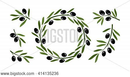 Olive Crown, Wreath Vector Set And Greek Olive Branches,tree Leaves Twigs Isolated On White Backgrou