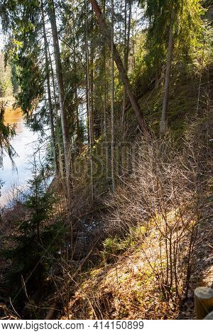 The River Winds Through The Countryside. The Banks Of The River Are Made Up Of Trees, Shrubs And Con