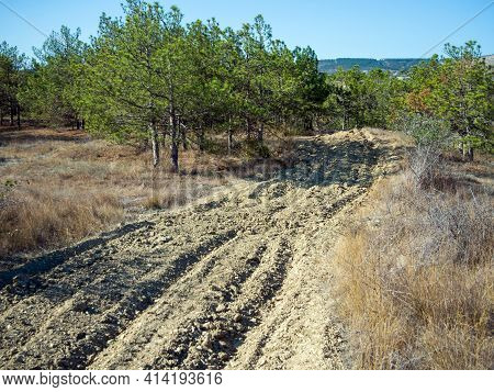 Protective Fire Strip In The Forest, Crimean Landscape