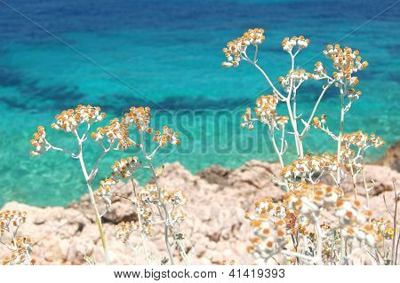 Panorama estivo della costa della Dalmazia, Croazia