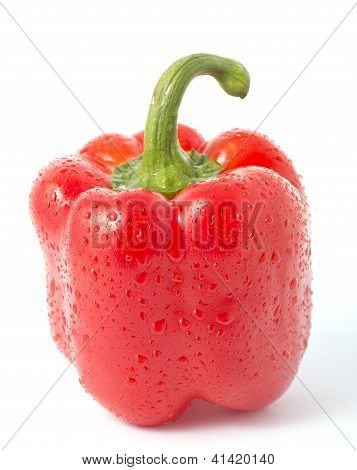 Wet Red Paprika
