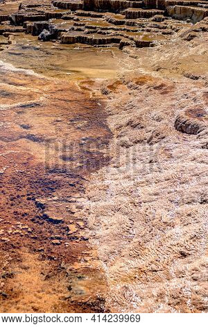 Travertine Terraces, Mammoth Hot Springs In Yellowstone