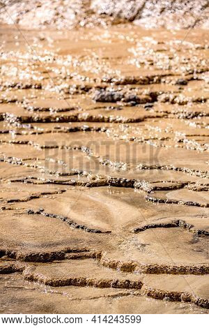 Travertine Terraces, Mammoth Hot Springs In Yellowstone