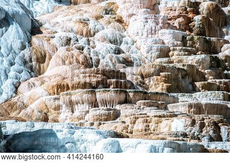 Travertine Terraces, Mammoth Hot Springs In Yellowstone