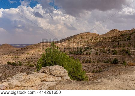 View From The Top To The Tops Of The Deser