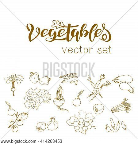 Set Of Vector Illustrations Of Vegetables In Sketch Style. Pepper, Onion, Garlic, Green Peas, Celery