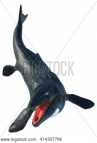 3D Rendering Mosasaur On White